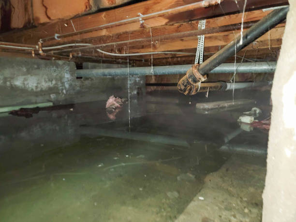 Best Ceiling water damage repair  in Gering, NE
