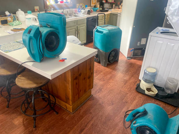 Best 24/7 water damage repair  in Gering, NE