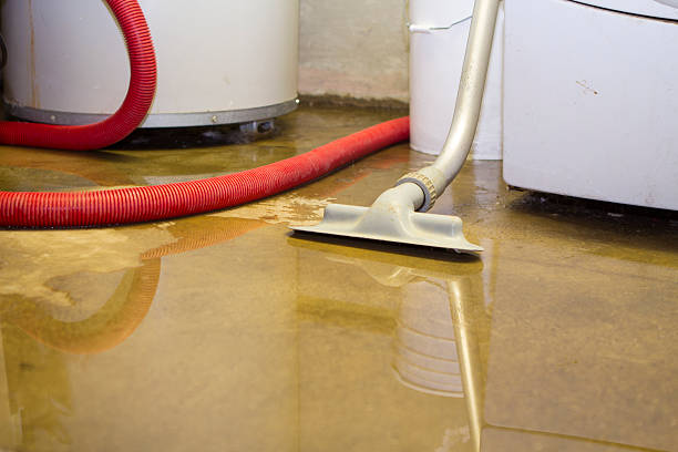 Best Flood damage cleanup  in Gering, NE