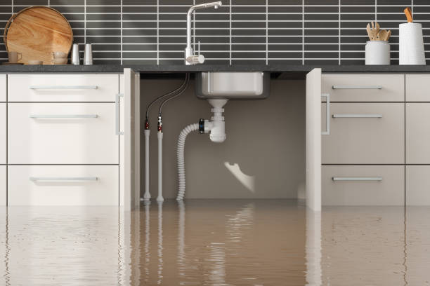 Best Professional water damage repair  in Gering, NE